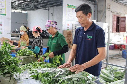 Truy xuất nguồn gốc và bảo hộ sở hữu trí tuệ góp phần tăng giá trị nông sản Việt Nam