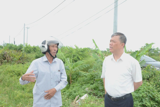 Báo chí lên tiếng, chính quyền vào cuộc