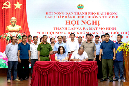 Tứ Minh ra mắt mô hình 'Chi hội Nông dân không ma túy'