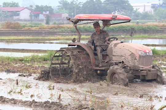Đẩy nhanh tiến độ sản xuất vụ mùa