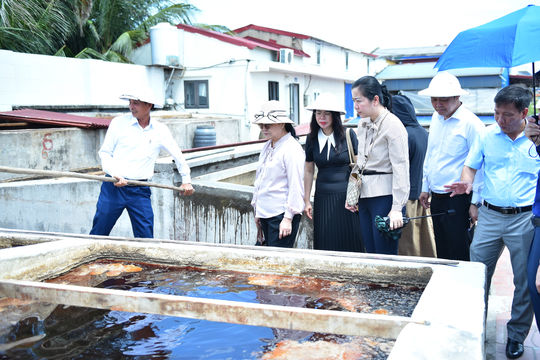 Hai Phong, Lao cooperatives explore closer cooperation