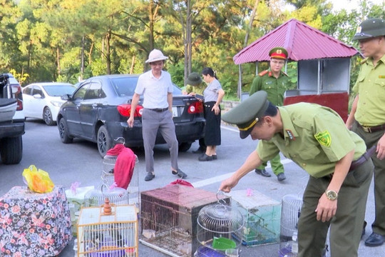 Hai Phong strengthens efforts to protect wildlife