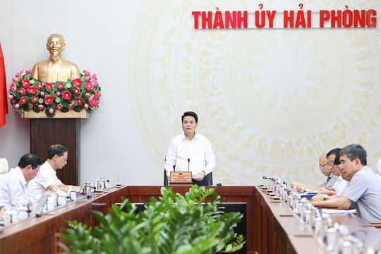 Standing Committee of Hai Phong Party Committee reviews development plans