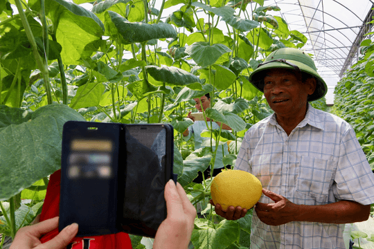 Digitalization transforms growing area management