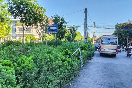Một tuyến đường hoa ở phường Hải An bị xuống cấp