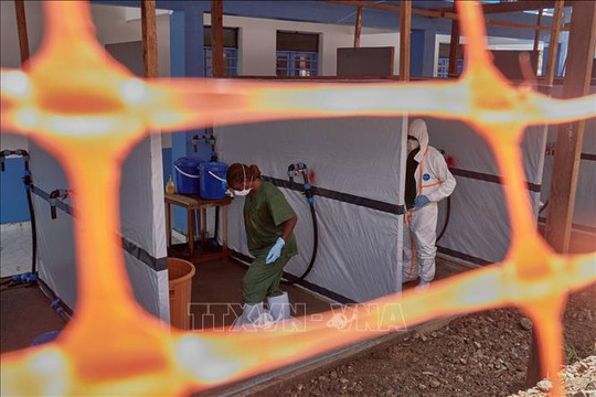 WHO thử nghiệm phương pháp điều trị mới nhằm giảm tỷ lệ tử vong do Ebola