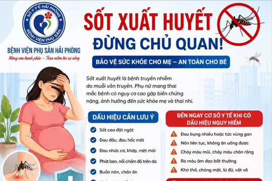 Nguy cơ biến chứng sốt xuất huyết ở phụ nữ mang thai