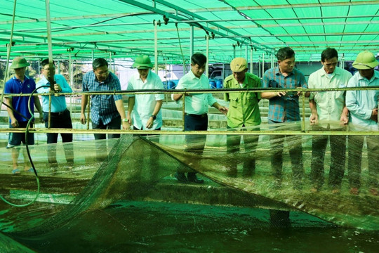 Hai Phong proactively adapts and boosts value of fisheries sector