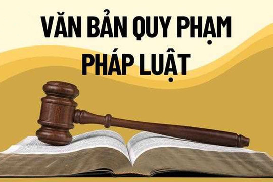 Xử lý dứt điểm tình trạng chậm ban hành văn bản quy định chi tiết