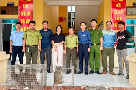 Tiếp nhận 3 cá thể động vật hoang dã do người dân ở xã Nam An Phụ tự nguyện giao nộp