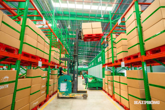 Thúc đẩy phát triển hoạt động logistics xanh