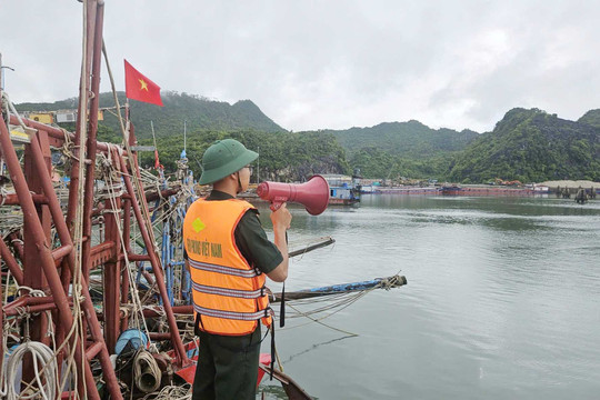 Hải Phòng cấm biển từ 16 giờ ngày 3/7