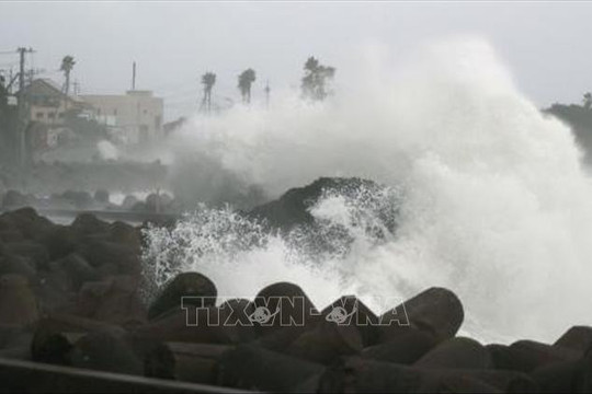 Đảo Hải Nam ngừng hoạt động giao thông để ứng phó bão Maysak