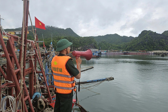 Bộ đội Biên phòng thành phố Hải Phòng triển khai các biện pháp ứng phó bão số 1 (Maysak)