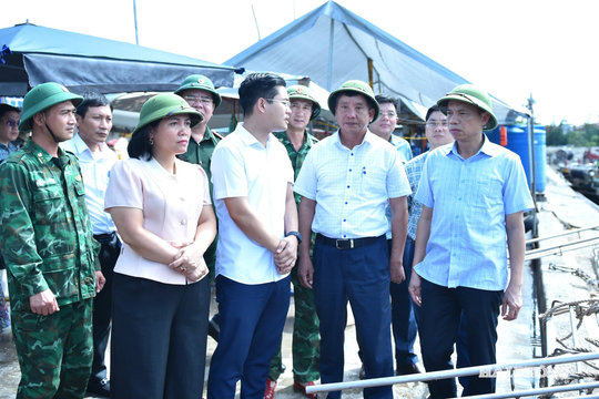 Chủ động phương án neo đậu tàu thuyền và sơ tán người dân