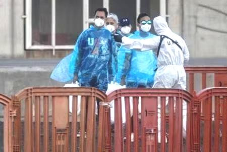 Việt Nam chưa ghi nhận ca mắc virus Hanta