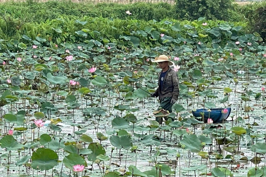 Khơi dậy khát vọng khởi nghiệp trong thanh niên