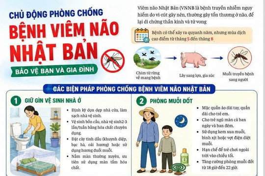 Chủ động phòng viêm não Nhật Bản mùa mưa