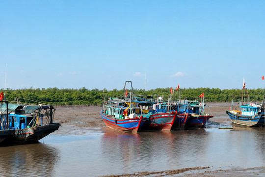Luồng lạch bồi lắng, cảng cá Ngọc Hải hoạt động khó khăn