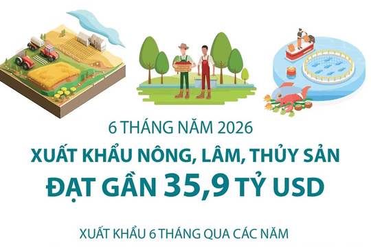 6 tháng đầu năm 2026, xuất khẩu nông, lâm, thủy sản đạt gần 35,9 tỷ USD