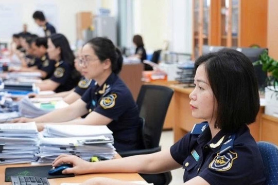 Hai Phong customs revenue exceeds six-month target