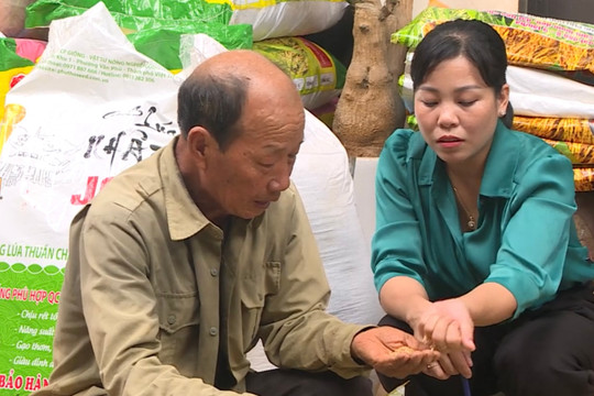 Chị Nguyễn Thị Hà gieo mùa no ấm trên đồng quê