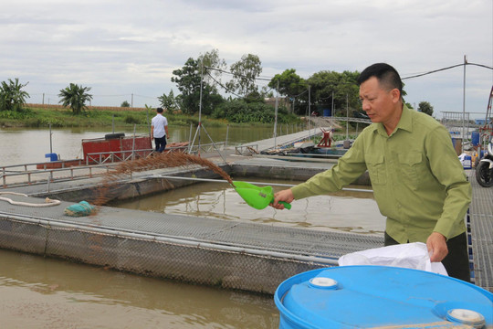 Thủy sản dẫn đầu tăng trưởng ngành nông nghiệp Hải Phòng