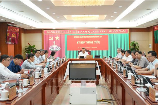 Khai trừ Đảng nguyên Ủy viên Ban Thường vụ Đảng ủy, Phó Tổng Giám đốc Tổng Công ty Cảng hàng không Việt Nam Đỗ Tất Bình