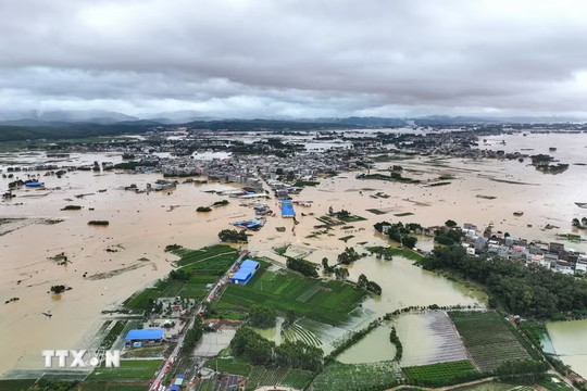 Bão Maysak tiếp tục gây mưa diện rộng tại Trung Quốc
