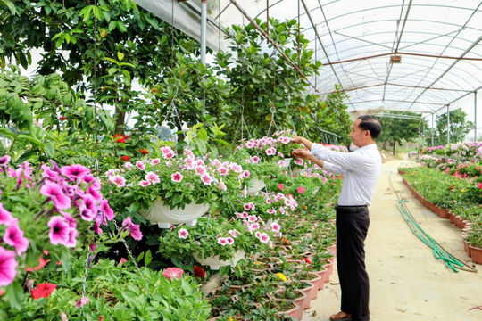 Nông trại mở lối du lịch trải nghiệm