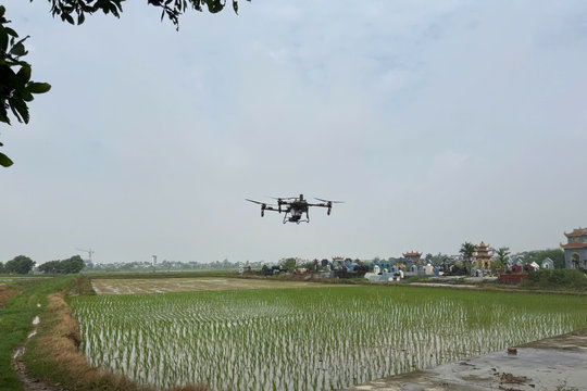 Máy cấy, thiết bị bay không người lái 'làm thay' nông dân Bình Giang