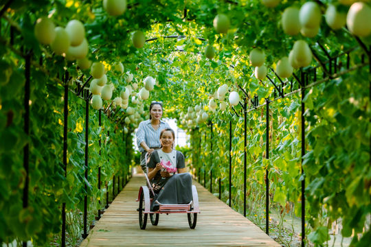 Trải nghiệm nông nghiệp sạch giữa không gian xanh tại 'Phong Cò Farm'