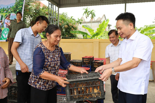 Xã Hà Bắc hỗ trợ gà giống cho hộ nghèo, cận nghèo