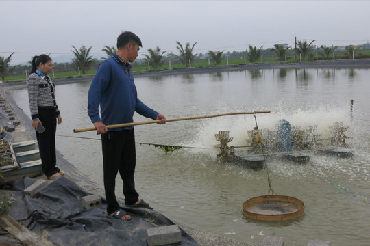Nghề nuôi thủy sản đối mặt nhiều rủi ro do biến đổi khí hậu