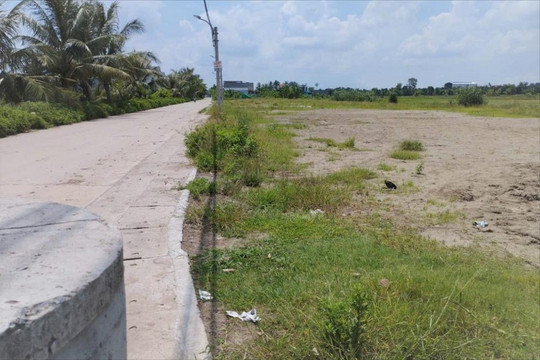 Vĩnh Bảo tăng thu hơn 25,6 tỷ đồng từ 4 đợt đấu giá quyền sử dụng đất