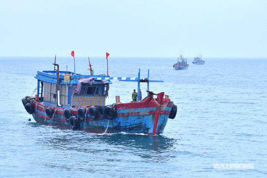 Giá nhiên liệu giảm, ngư dân Hải Phòng vươn khơi