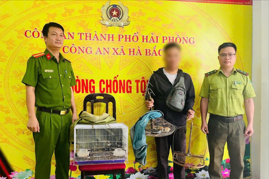 Công an xã Hà Bắc xử lý đối tượng bẫy chim hoang dã