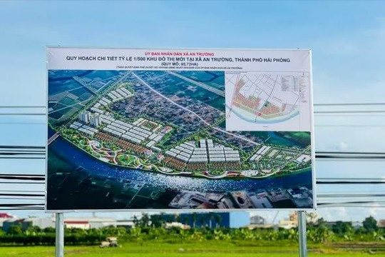 Nhiều chính sách ưu đãi trong lựa chọn nhà đầu tư từ ngày 21/8/2026
