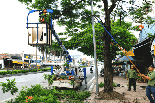 Chủ động ứng phó nguy cơ cây xanh gãy đổ
