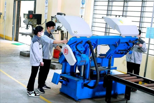 Định hình lộ trình học nghề sớm