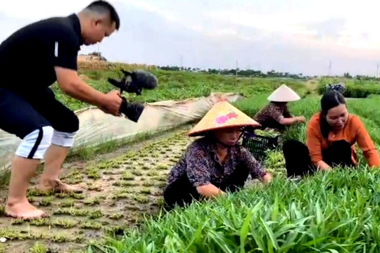 Digital-savvy farmers open new opportunities for experiential tourism