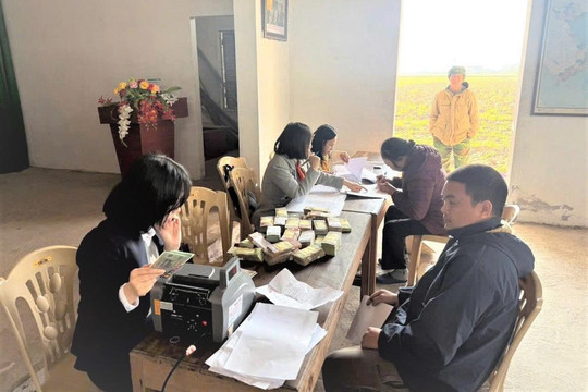 Dự án Khu công nghiệp Trấn Dương - Hòa Bình giải phóng mặt bằng đạt hơn 60% diện tích