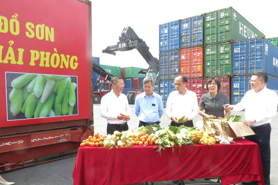 Hội Nông dân Hải Phòng hỗ trợ hội viên tiêu thụ sản phẩm