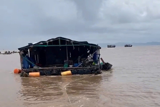 Đồn Biên phòng Đồ Sơn xử lý trường hợp thả nhà bè nổi trên biển
