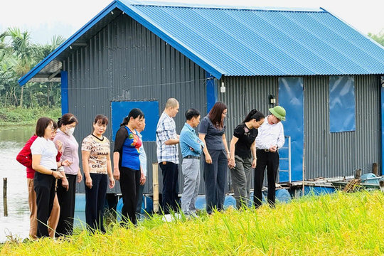 An Lão sạch từ đồng đến xóm