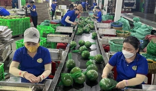 Đến năm 2030, 80% doanh nghiệp logistics nông nghiệp ứng dụng công nghệ số