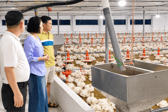 Tạo đòn bẩy để nông dân làm giàu bền vững