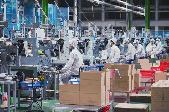 Gần 187.200 doanh nghiệp gia nhập thị trường trong 7 tháng đầu năm 2026