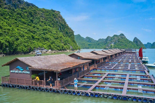 Dự thảo quy định về mức thu tiền sử dụng khu vực biển