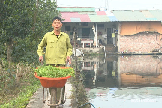 Nông dân Hải Phòng chuyển mình cùng đô thị hóa